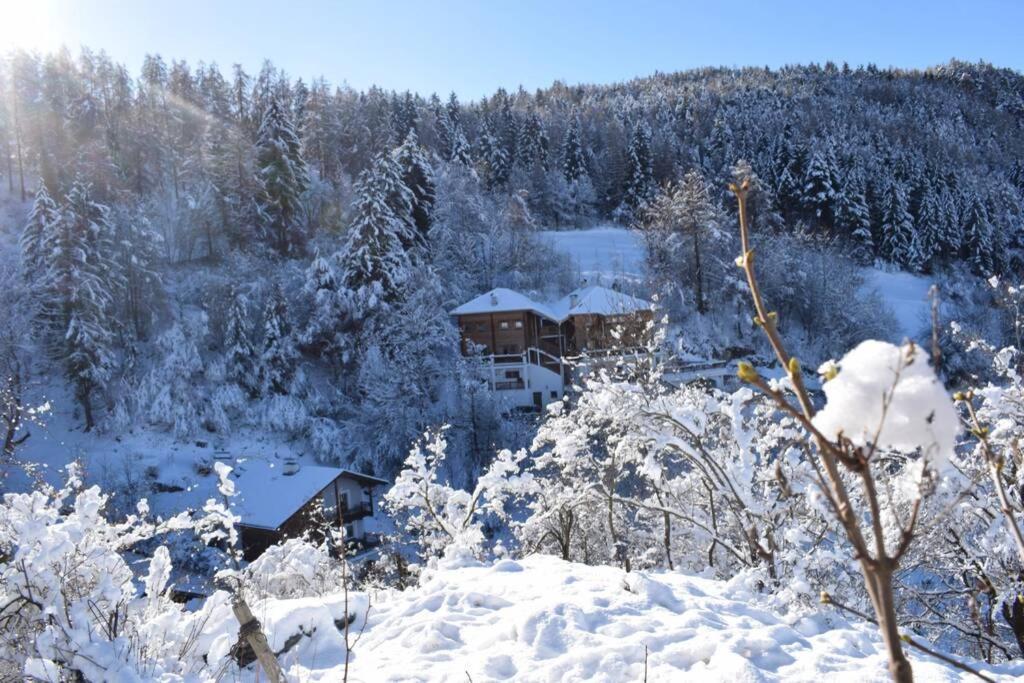 App Schlossblick - Wohnung Hammerwand 2 Umes Экстерьер фото